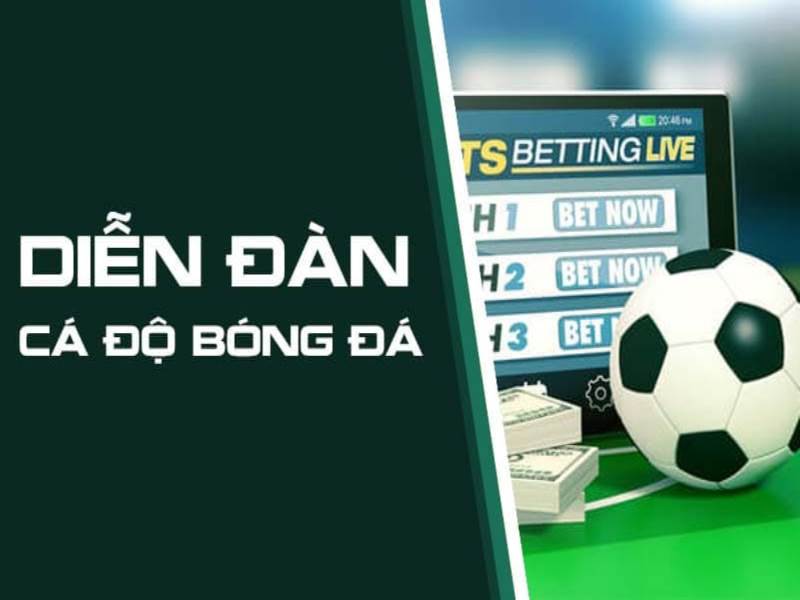 Một số thông tin thú vị của nhà cái bet88 